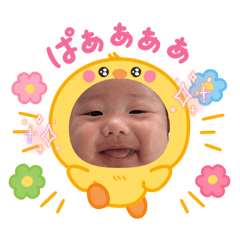 AOPAN_20260425185612