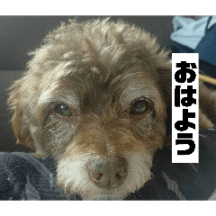 matsuoka_20260425203711