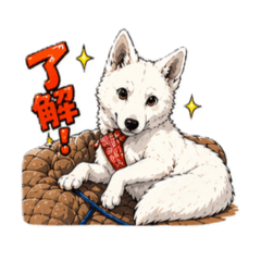 satopoyo_20260425194725