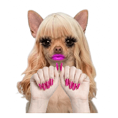 Chihuahua Japanese Gal Style Nail Art