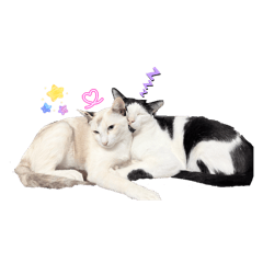 Friend_20260425151830