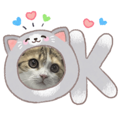 Chotika_20260425151804