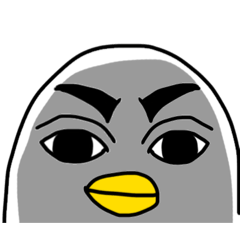 cocco_20260425192617