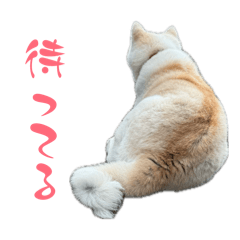 natsumi_20260425210136