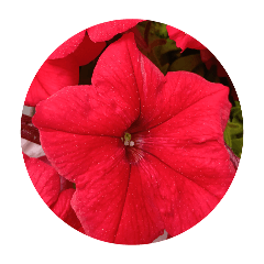 tokuyama_20260425205613