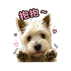 勾錐ㄟ天天☁️