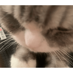 ChamaTanyaTama_20260425210343