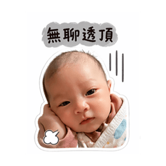 馬鈴薯（厭世篇