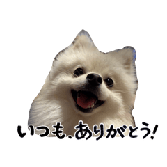 sososofie_20260425194657