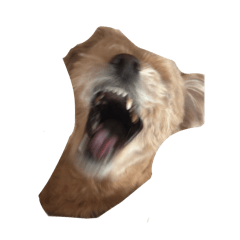 kinako_20260425195802