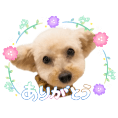 mitsuba_20260425212245