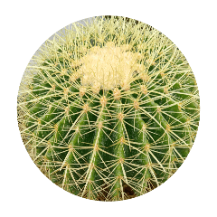 tokuyama_20260425212657