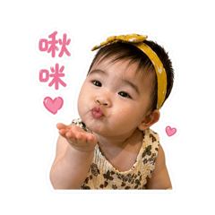 小布丁實用可愛日常