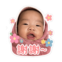 Cute Cake is here-2m22d