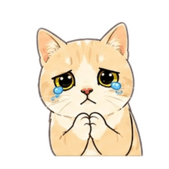 Stellar Shop_20260425163001