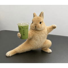 Mini Bunny Honey