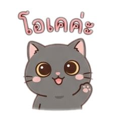 Peemai_20260425170034