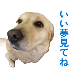 akohira_20260425202211