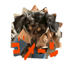 SHOUGN_20260425202457