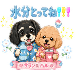 sykaaa_20260425201934