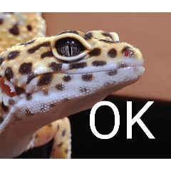 issei_20260425201753