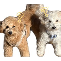 Mameta_20260425214607