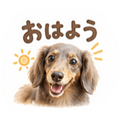 Cyoko_20260425201755