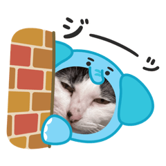 Rlove_20260425215336