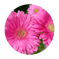 tokuyama_20260425214505