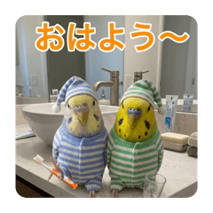 ピーちゃん&メイちゃんパート3