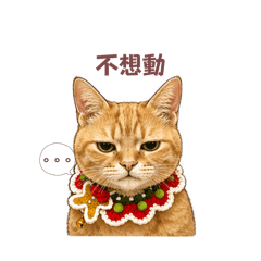加菲小胖貓