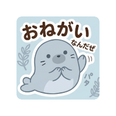 nogi_20260425205156