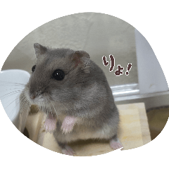 yukina_20260425205438