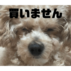 chanyui_20260425221404