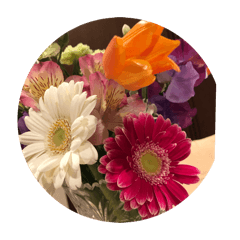 norisa_20260425221853