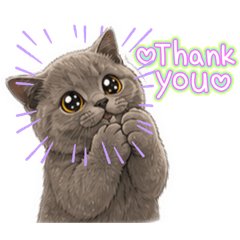 CuteCat131