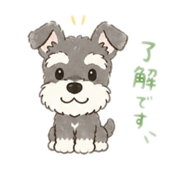 mofu lab_20260425222158