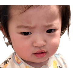 senu_ta_20260425223126