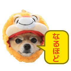 nozo_emon_20260425222844