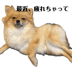 yutouki_20260425223051