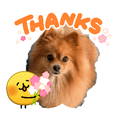 riku_taro_20260425223600