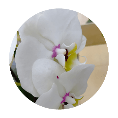 tokuyama_20260425223840