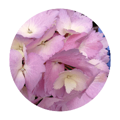 tokuyama_20260425222810