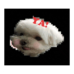 齊齊動起來 Chichi