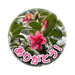 green_20260425211449