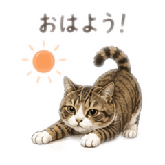 ricotaro1217_20260425211434