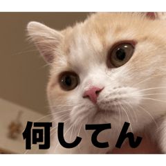 Nanato_20260425211638