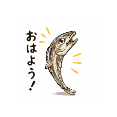 Niboshi_20260425225901