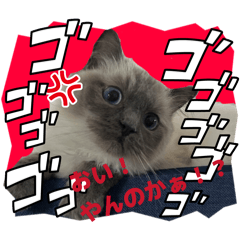 SE&SU_20260425230051