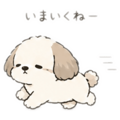 mofu lab_20260425230107